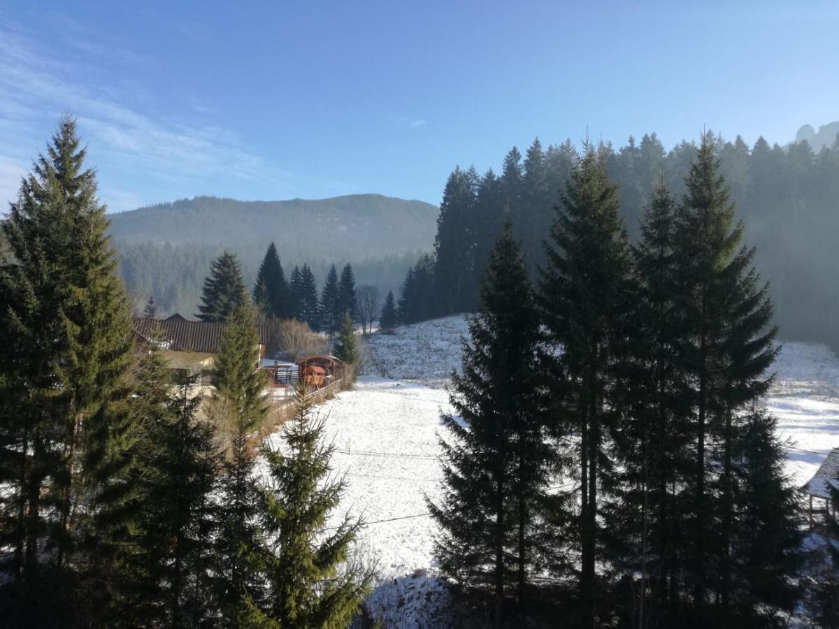 apartament Durau Bagian luar foto